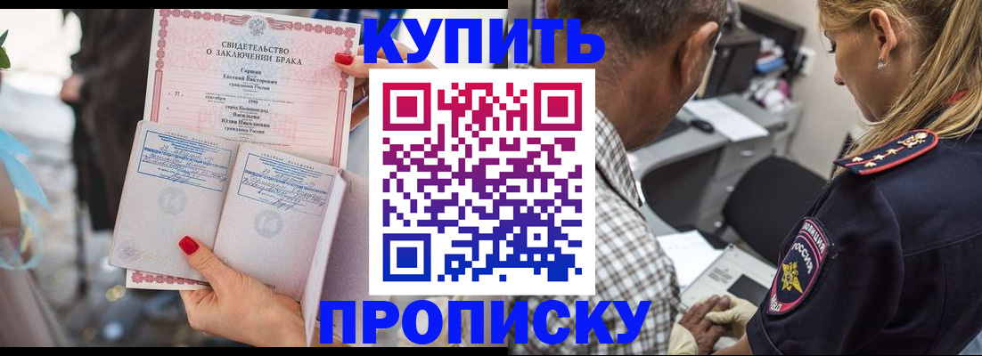 прописка законно в Вязьме